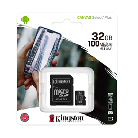 Kingston Micro SD